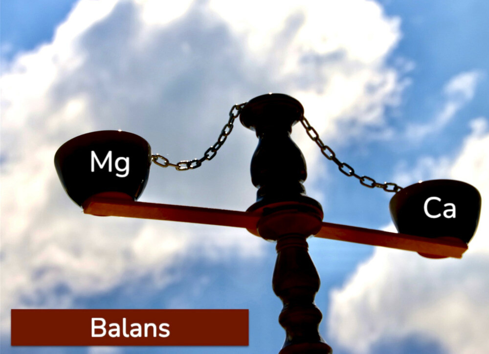 oude weegschaal met mg en ca elementen