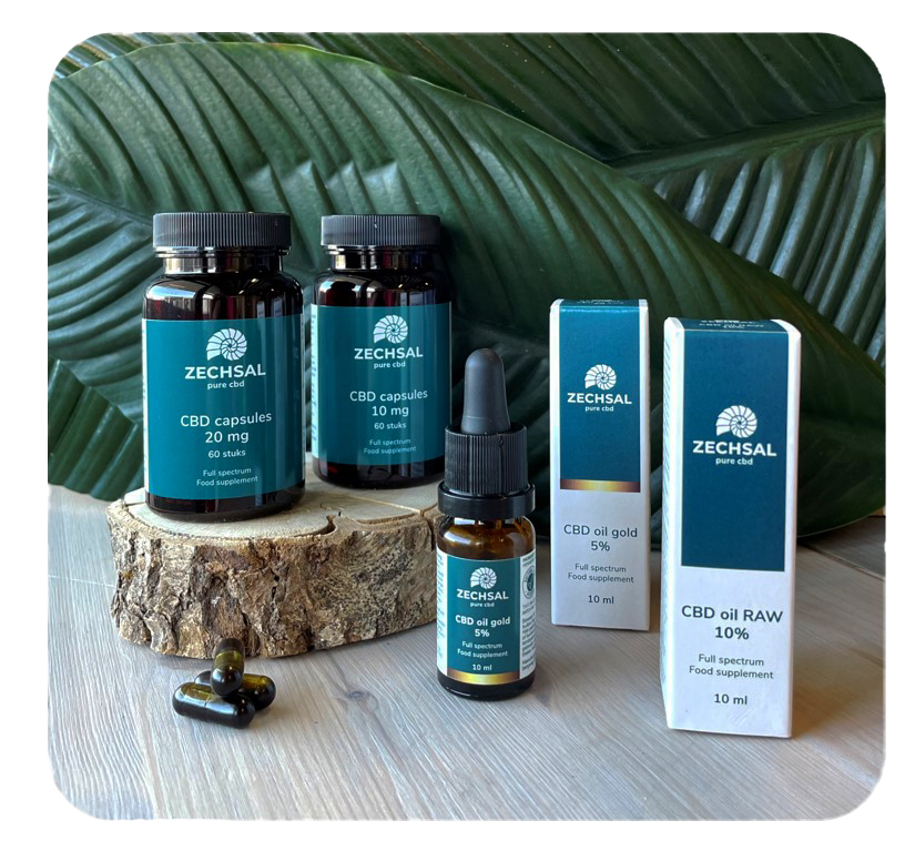 Zechsal magnesium - Die hochwertigsten Zechsal magnesium ausführlich verglichen!
